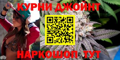 сатива Будённовск