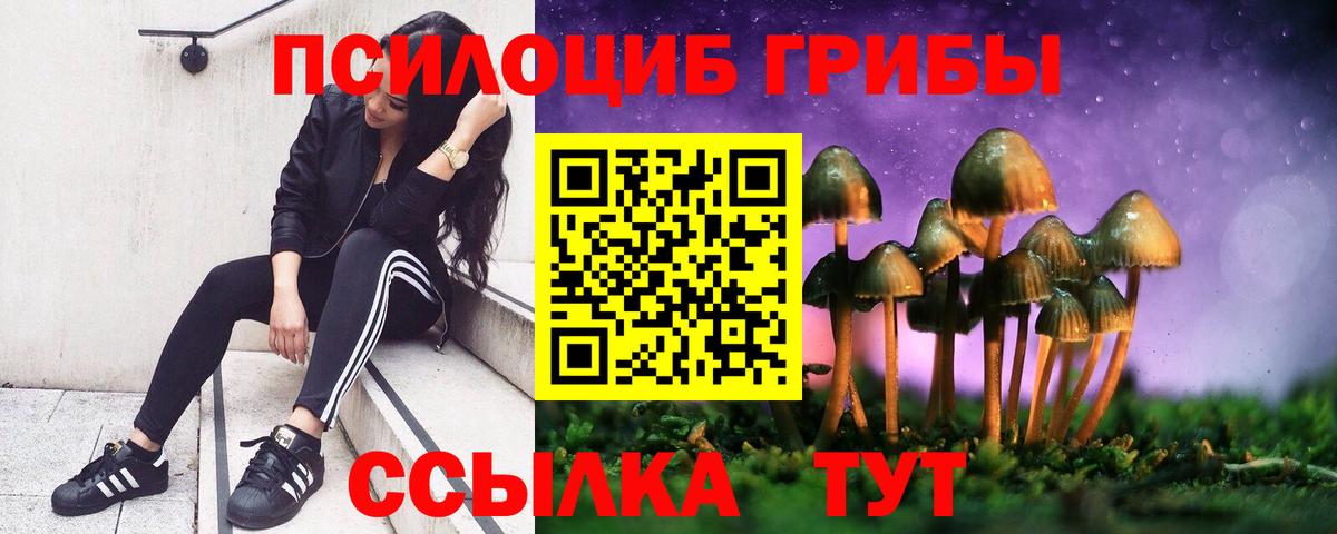 Галлюциногенные грибы Psilocybe Орск